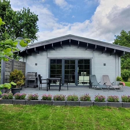 Idyllisches-Blockbohlenhaus-Mit-Eigenem-Garten-Und-Sauna-Zum-Wohlfuehlen Martensrade 外观 照片