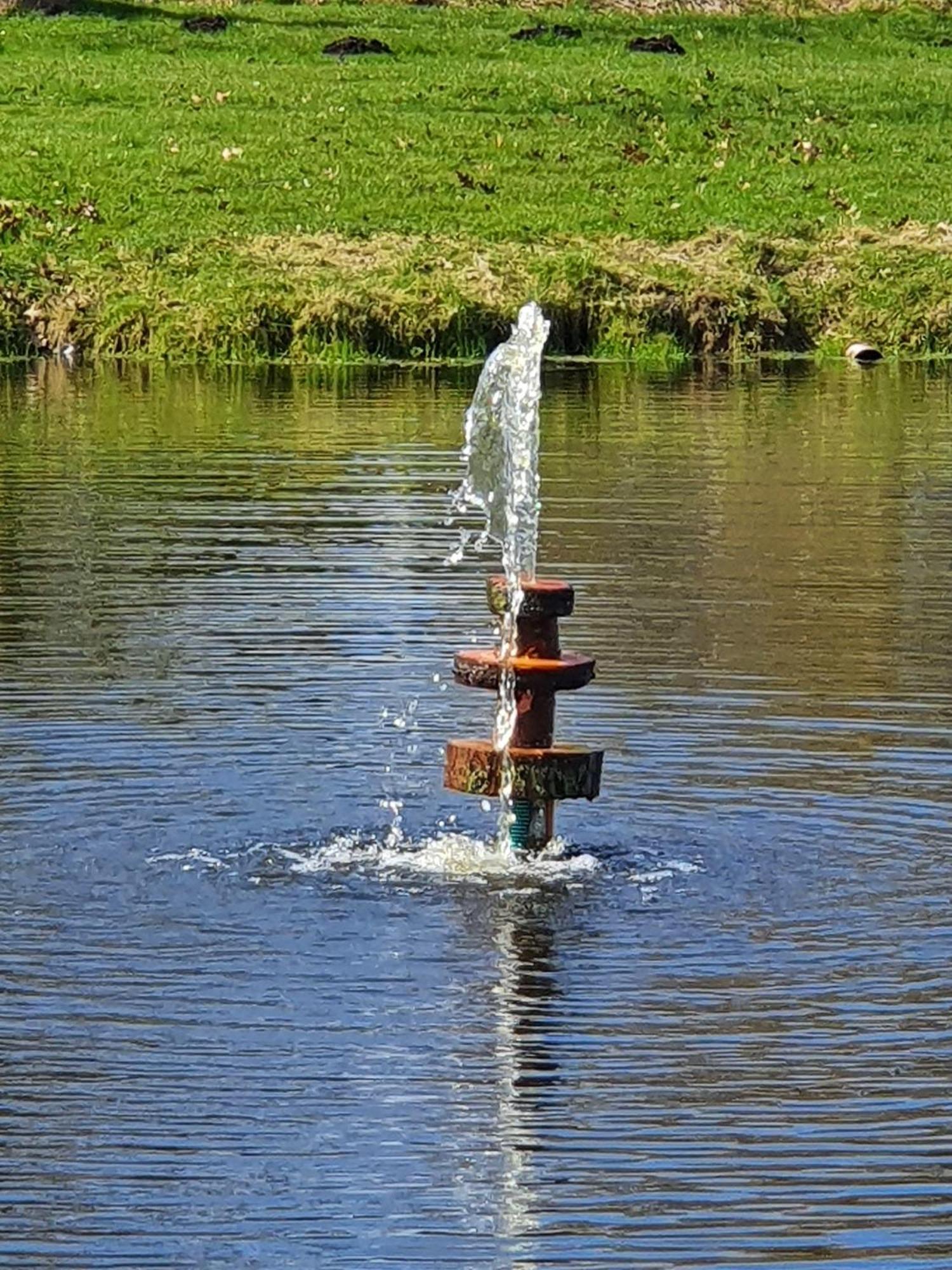 Idyllisches-Blockbohlenhaus-Mit-Eigenem-Garten-Und-Sauna-Zum-Wohlfuehlen Martensrade 外观 照片