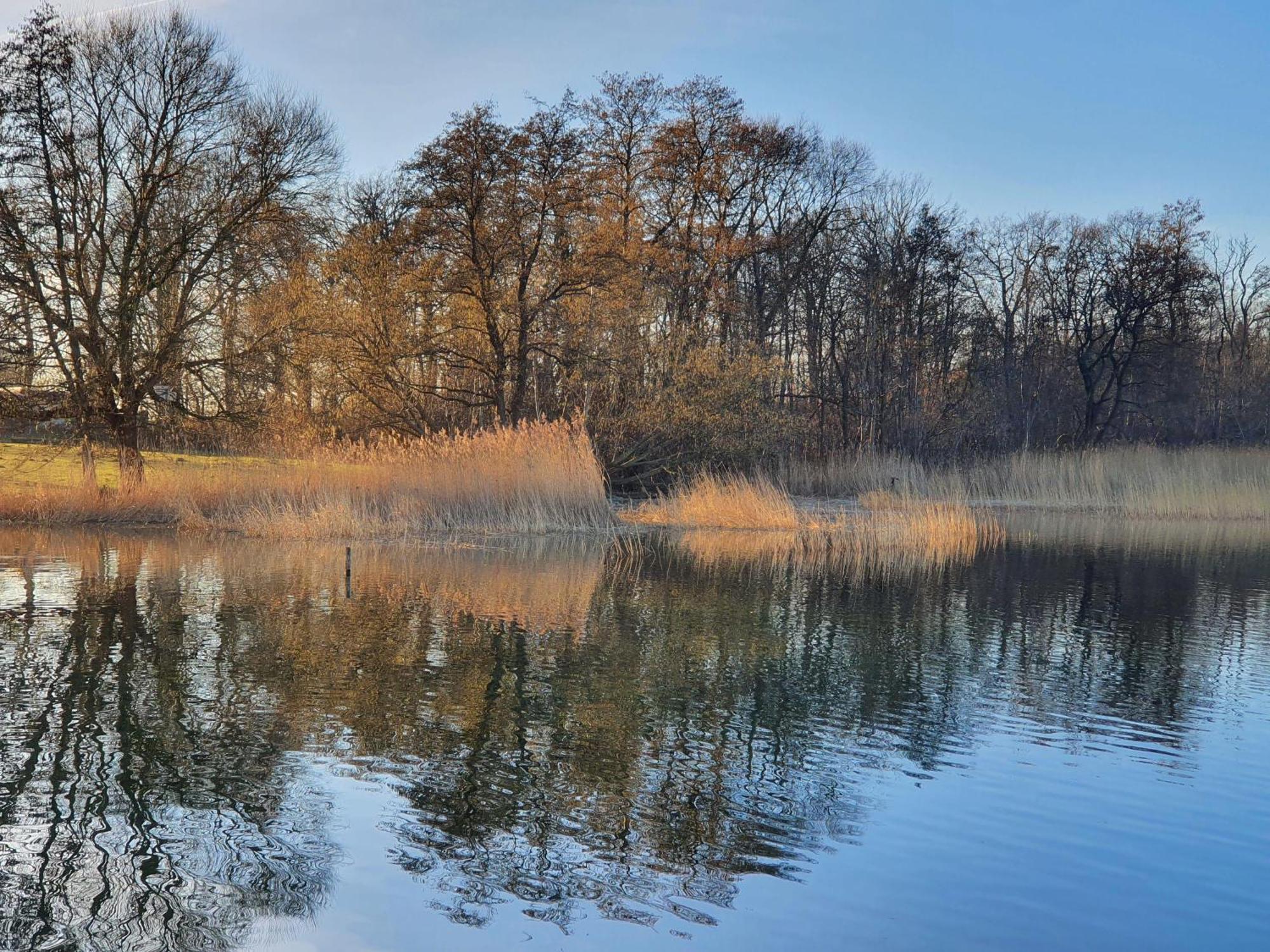 Idyllisches-Blockbohlenhaus-Mit-Eigenem-Garten-Und-Sauna-Zum-Wohlfuehlen Martensrade 外观 照片